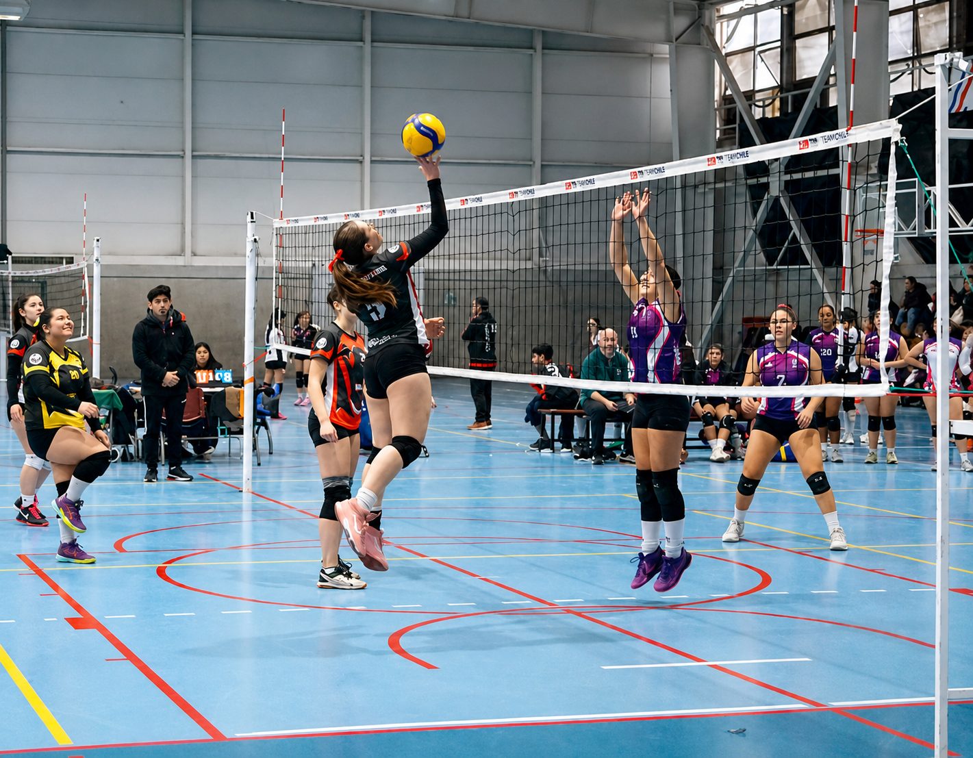 Partido femenino Falcon