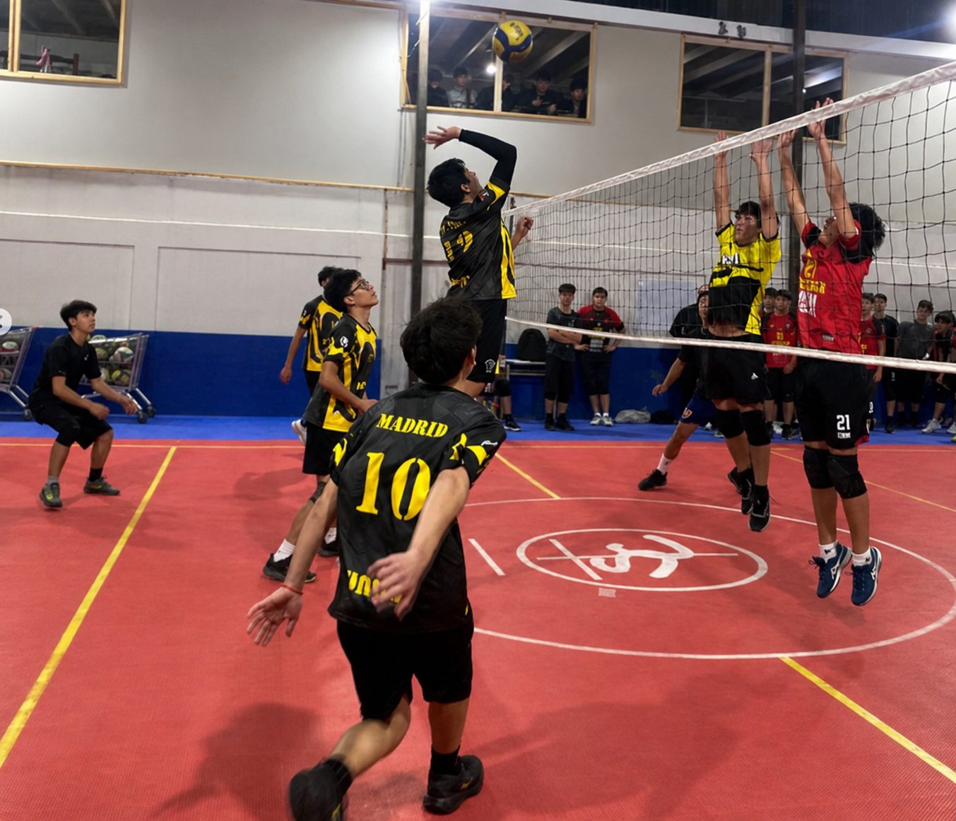 Partido masculino Falcon