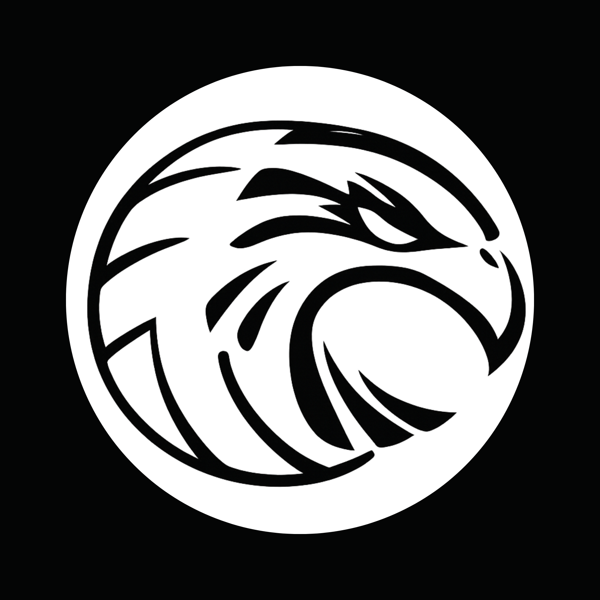 Falcon Voleibol Maipú